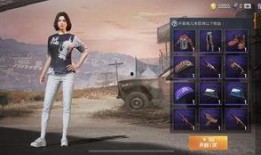 最新和平军需爆料视频大全,全方位揭秘军需装备革新动态