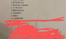 新闻爆料 宾阳吧,揭秘当地新闻热点，聚焦民生关注焦点